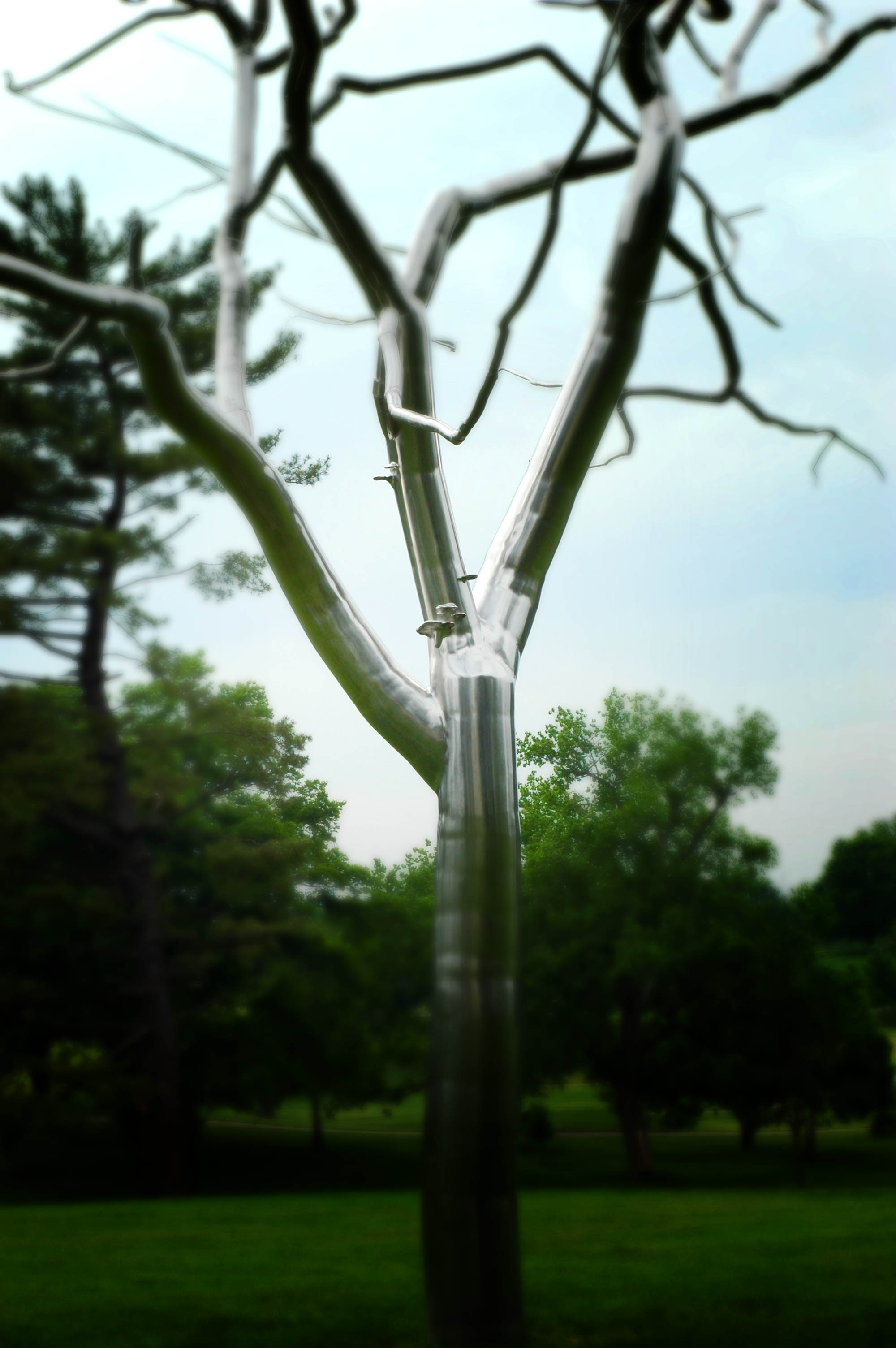 Forest Park in St. Louis, MO