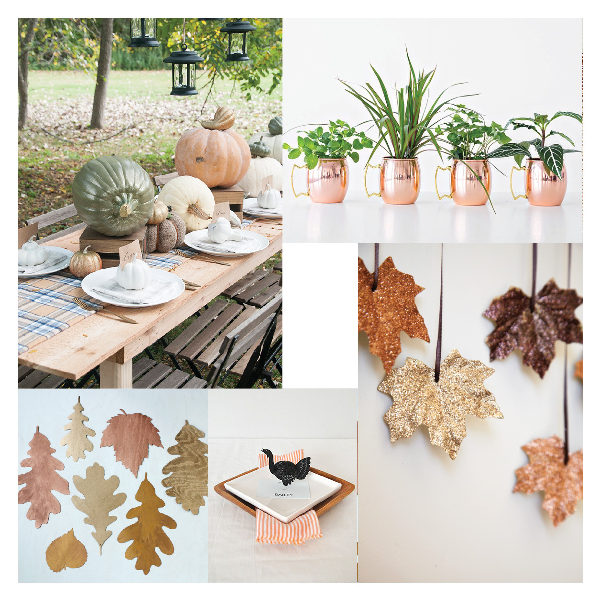 Thinking About Thanksgiving