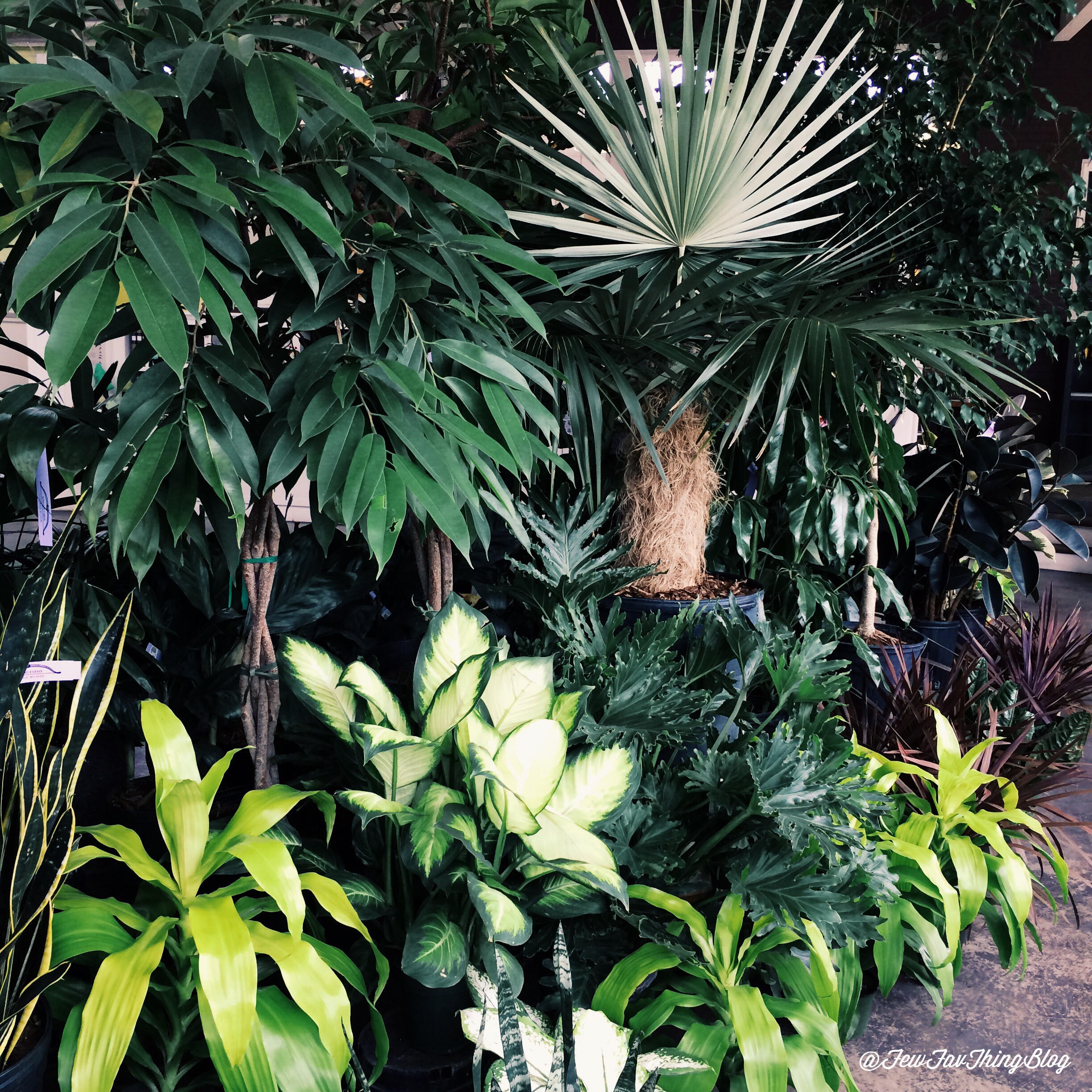 Bowood & Cafe Osage in St. Louis, MO