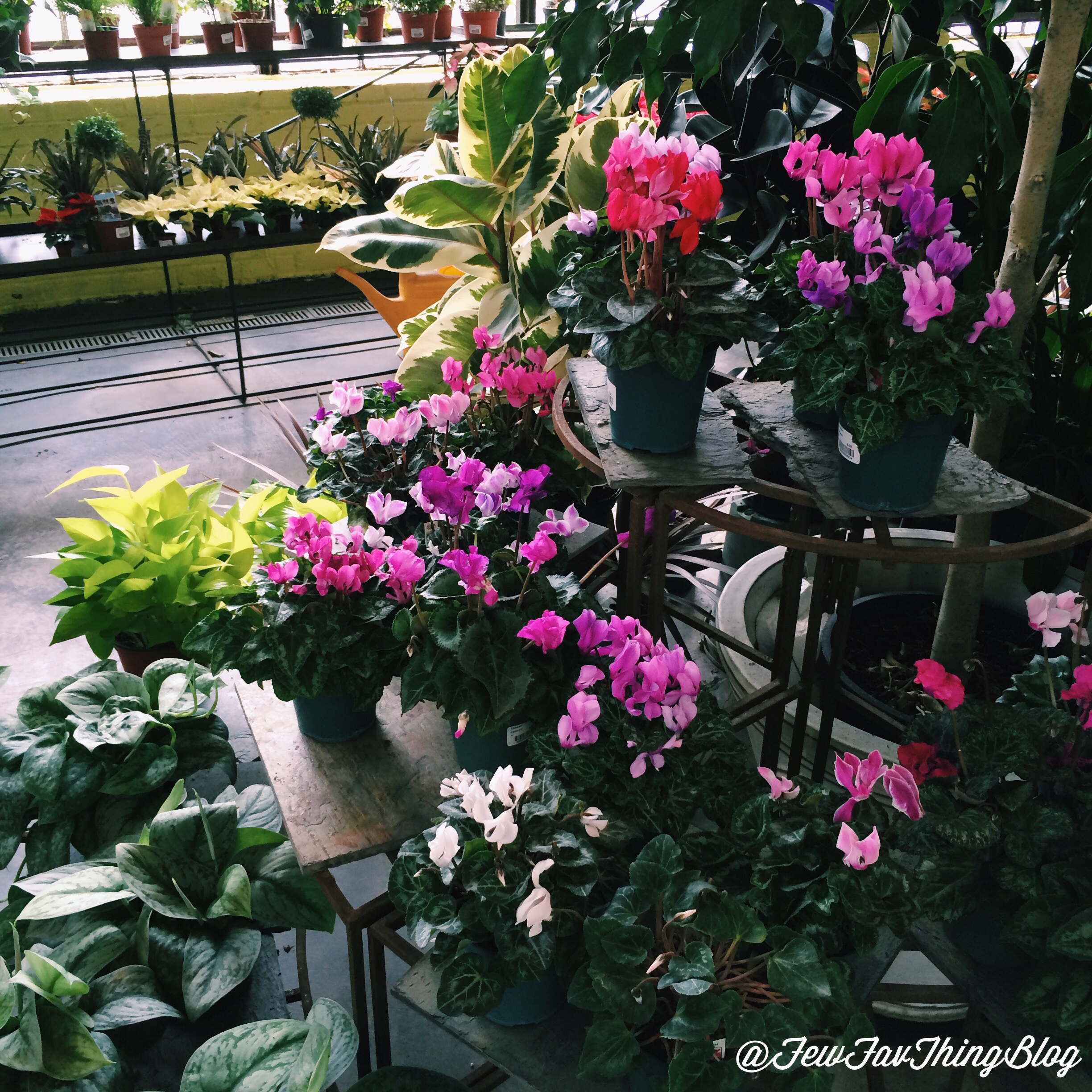 Bowood & Cafe Osage in St. Louis, MO