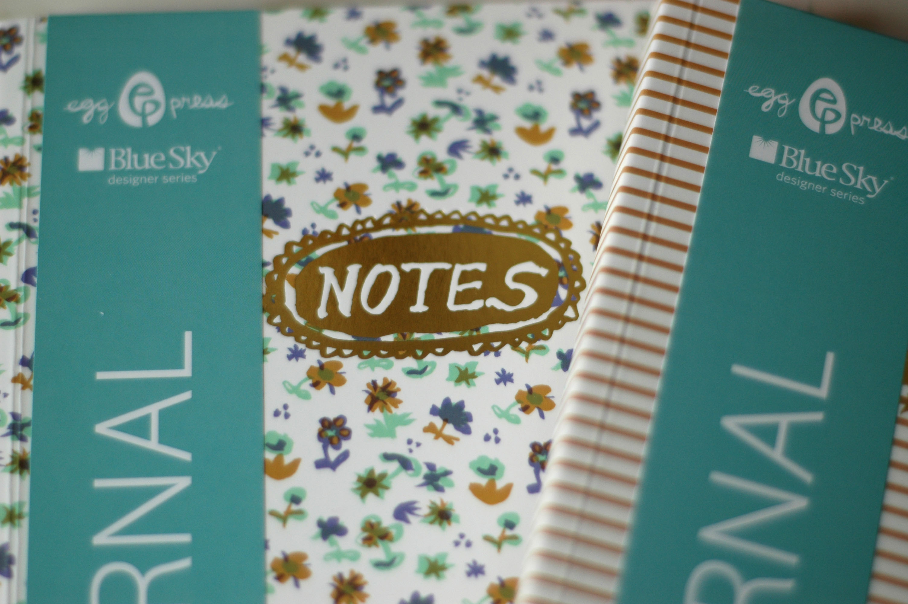 Big Ideas Egg Press Journal