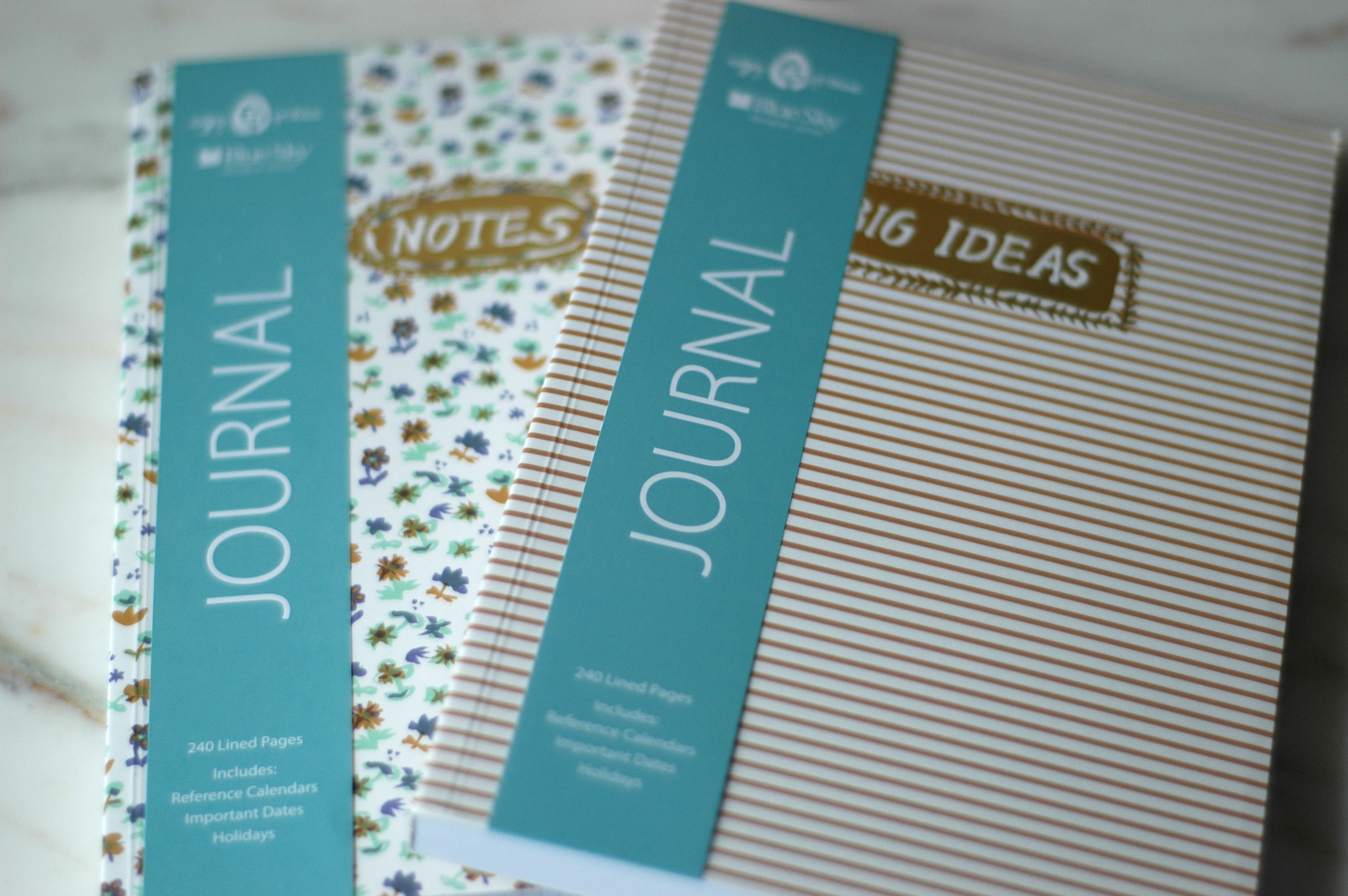 Big Ideas Egg Press Journal