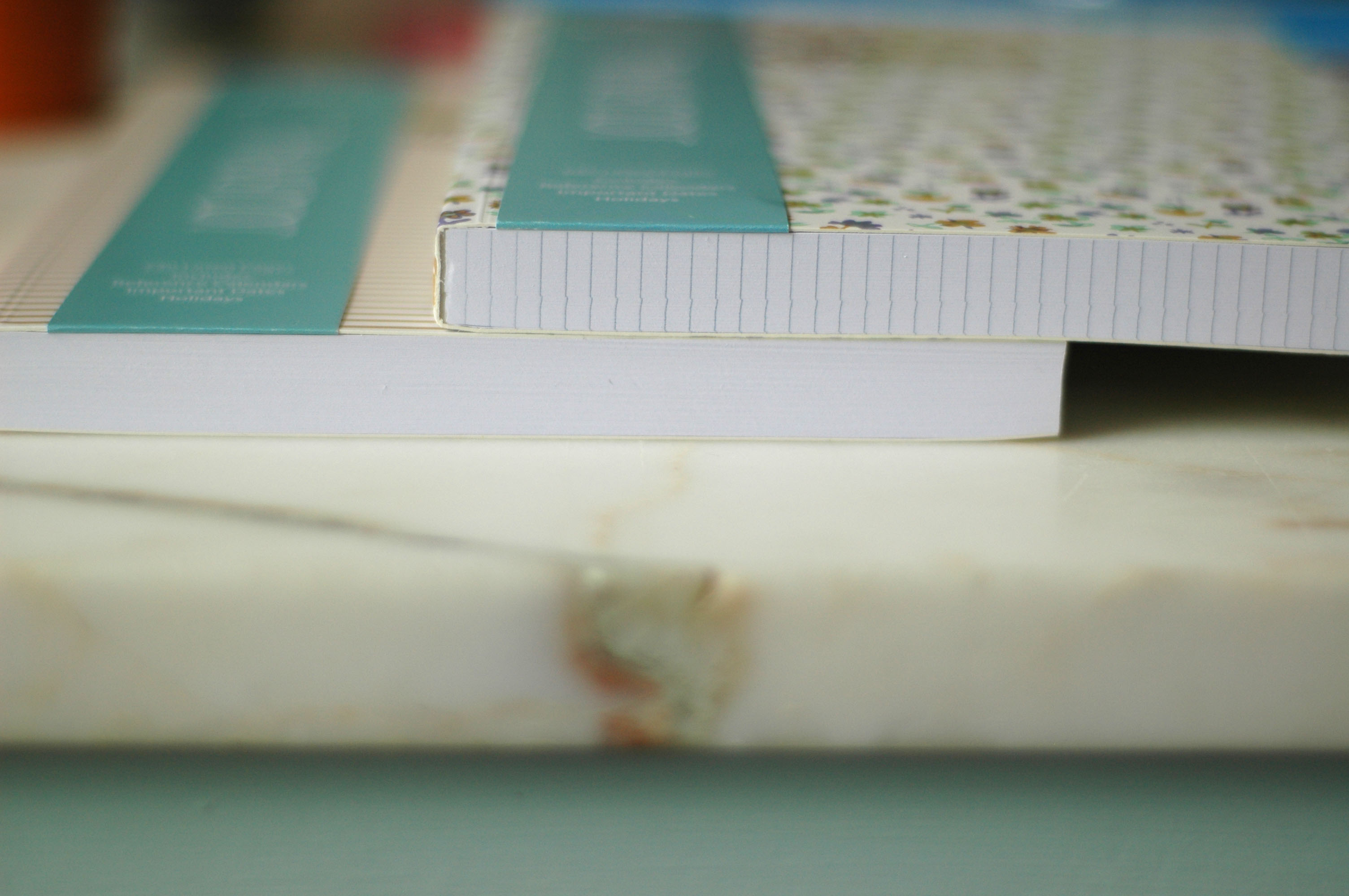 Big Ideas Egg Press Journal