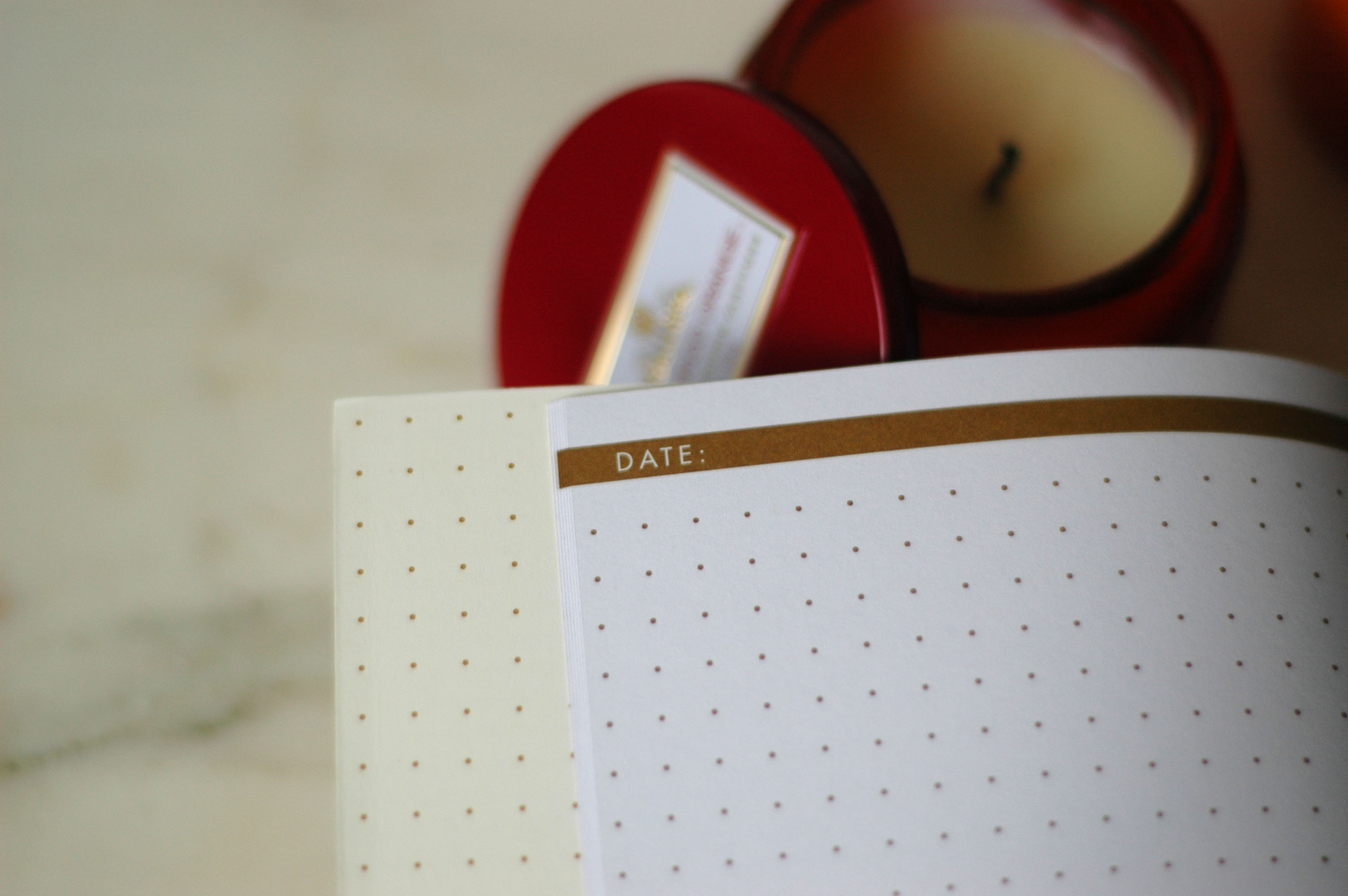 Big Ideas Egg Press Journal