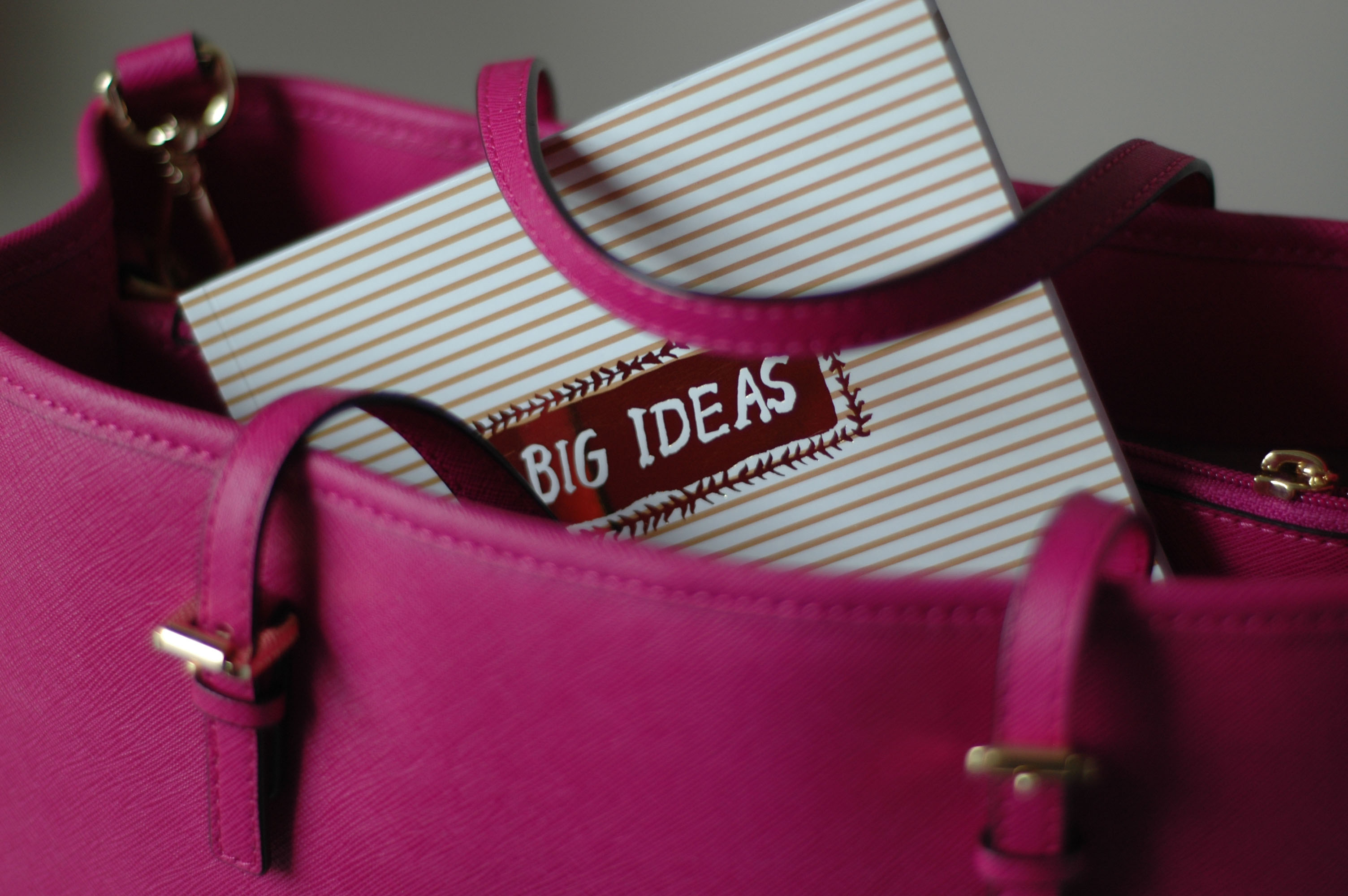 Big Ideas Egg Press Journal