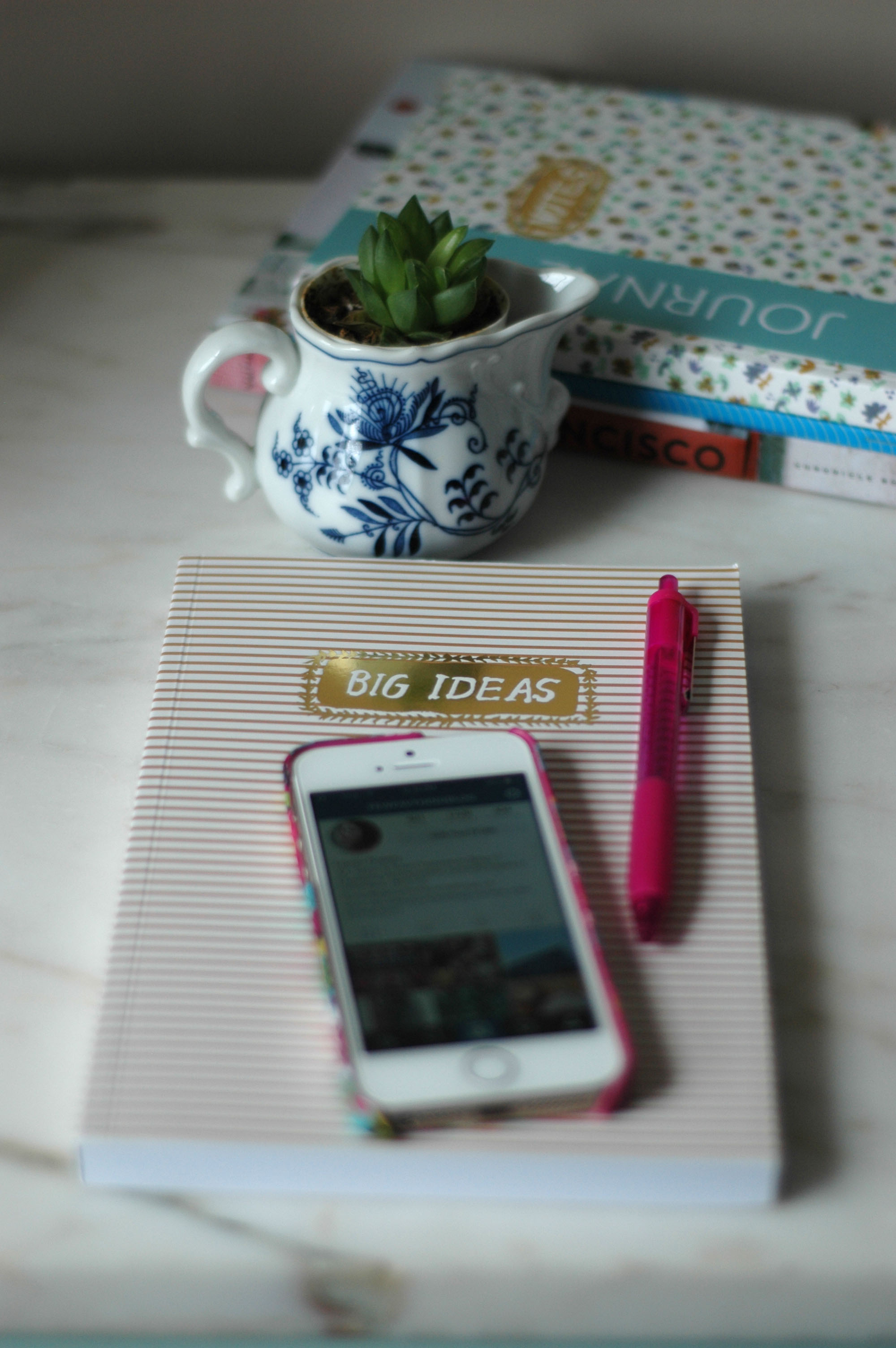 Big Ideas Egg Press Journal