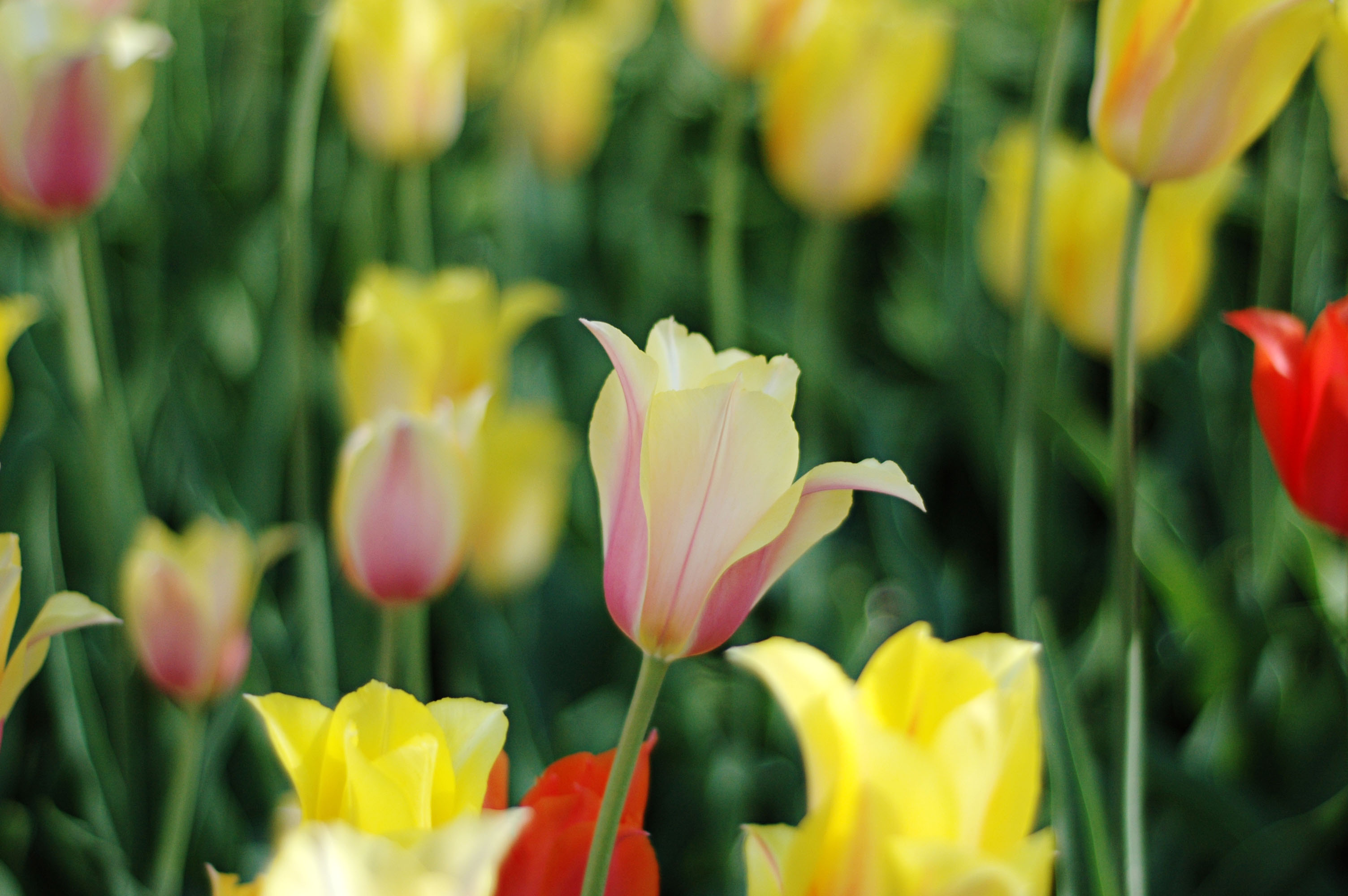 New York City Architecture