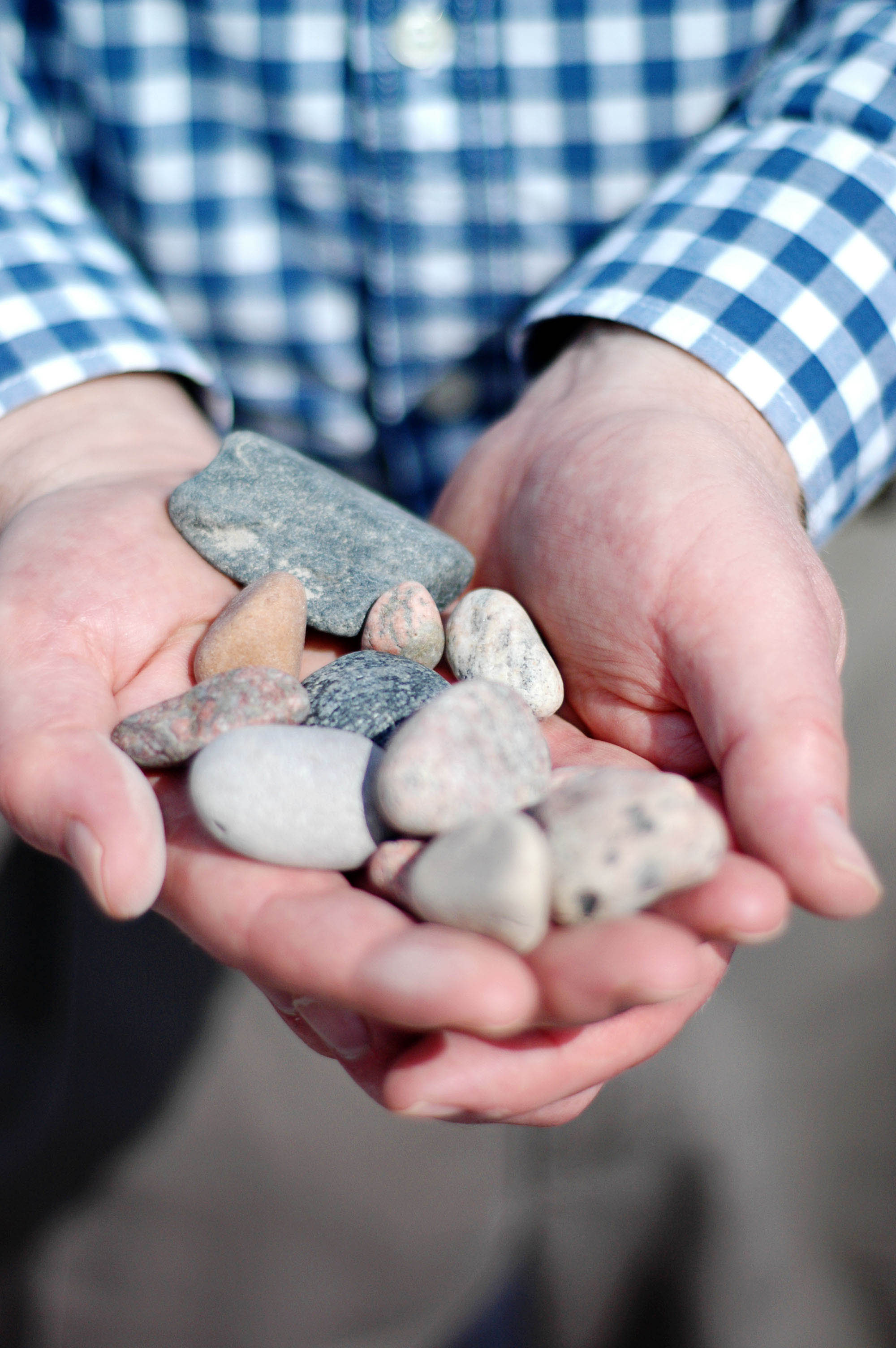 Rocks in Hand 