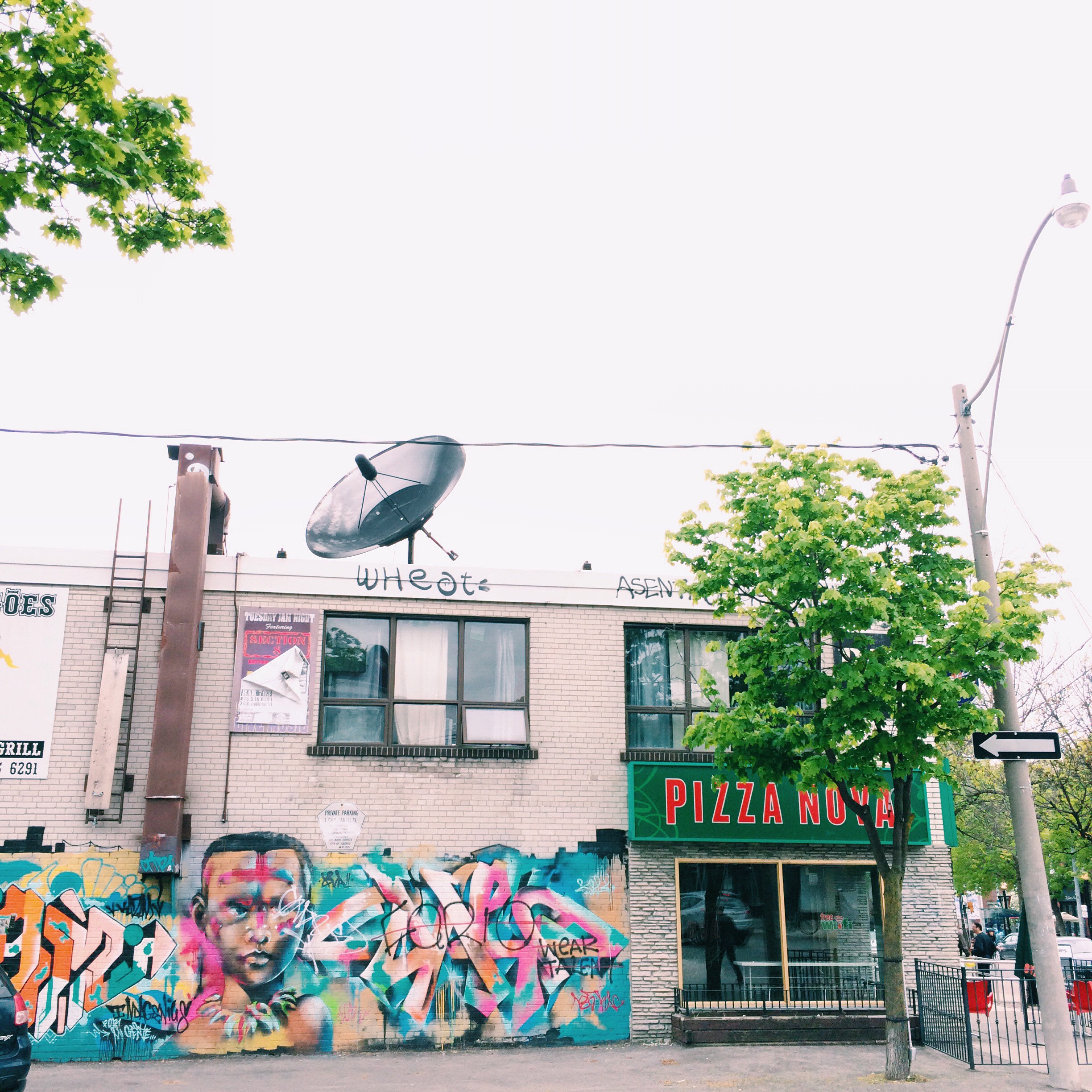 Little Italy Toronto