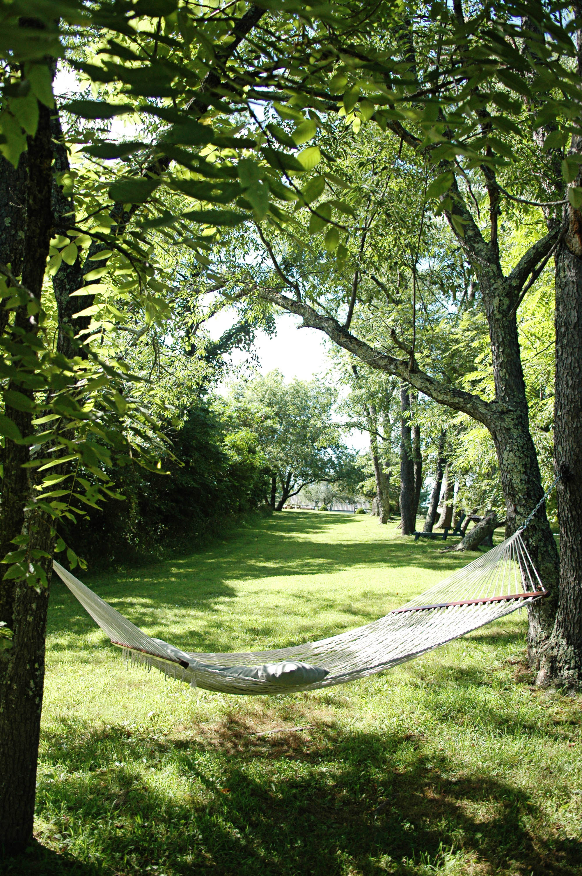 Inn and Spa at Cedar Falls