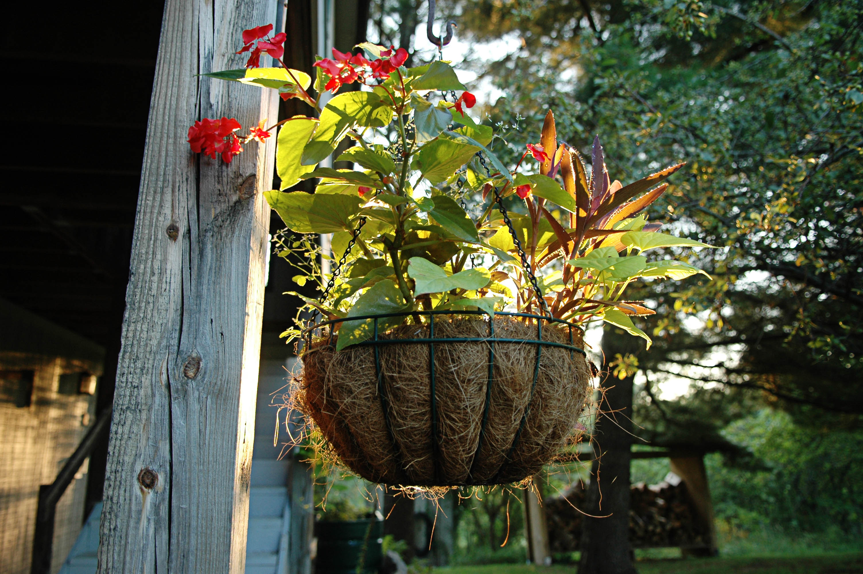 Inn and Spa at Cedar Falls