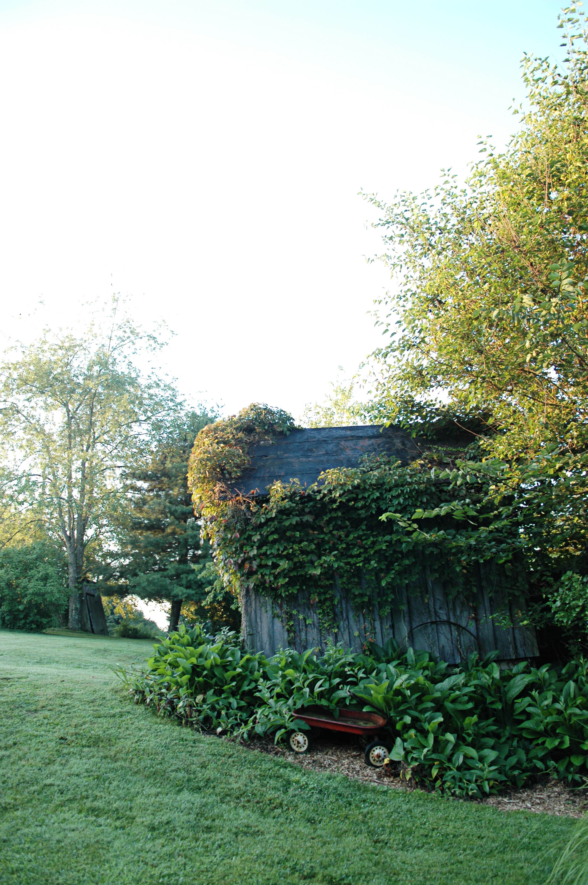 Inn and Spa at Cedar Falls