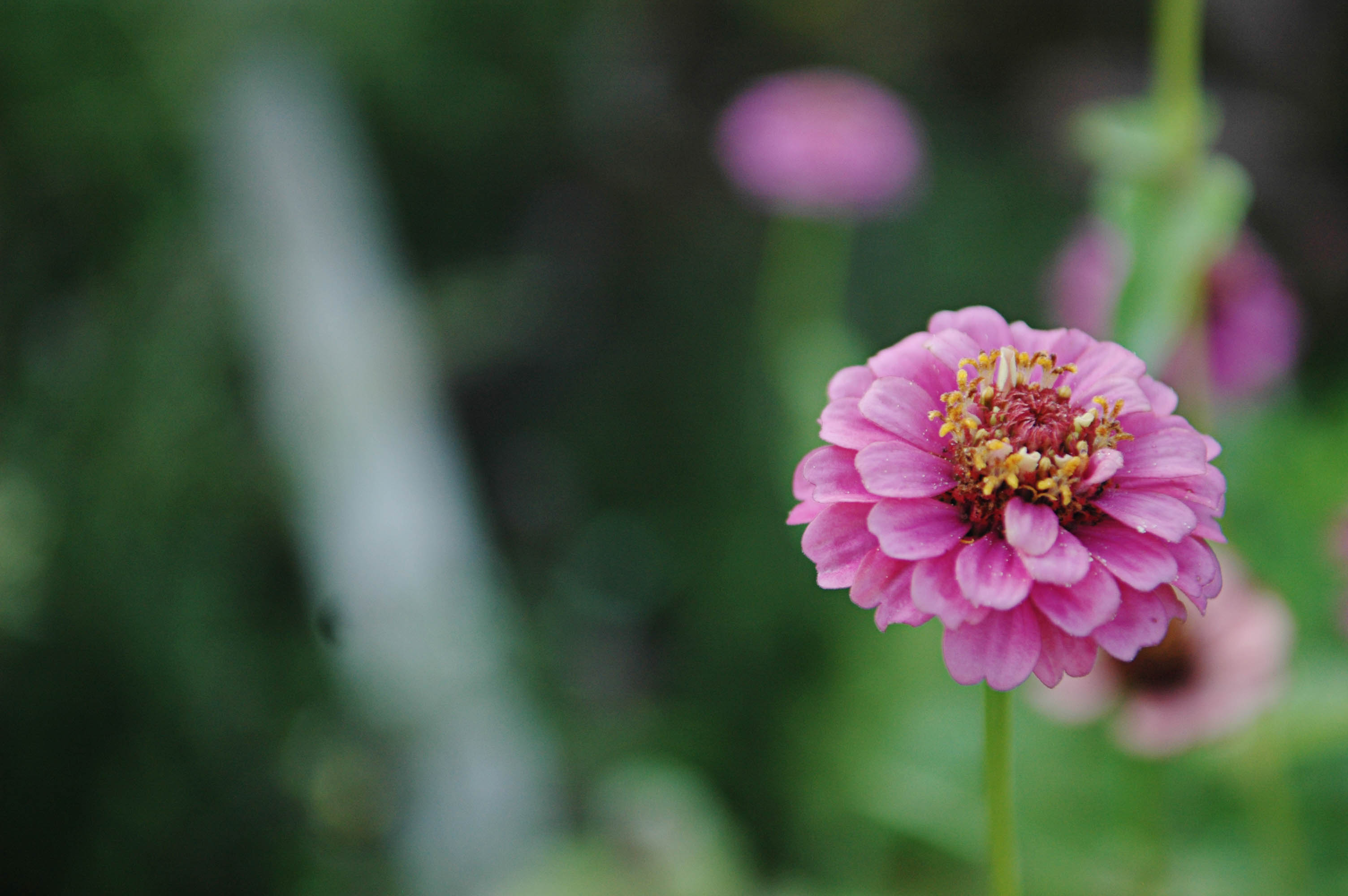 Inn and Spa at Cedar Falls