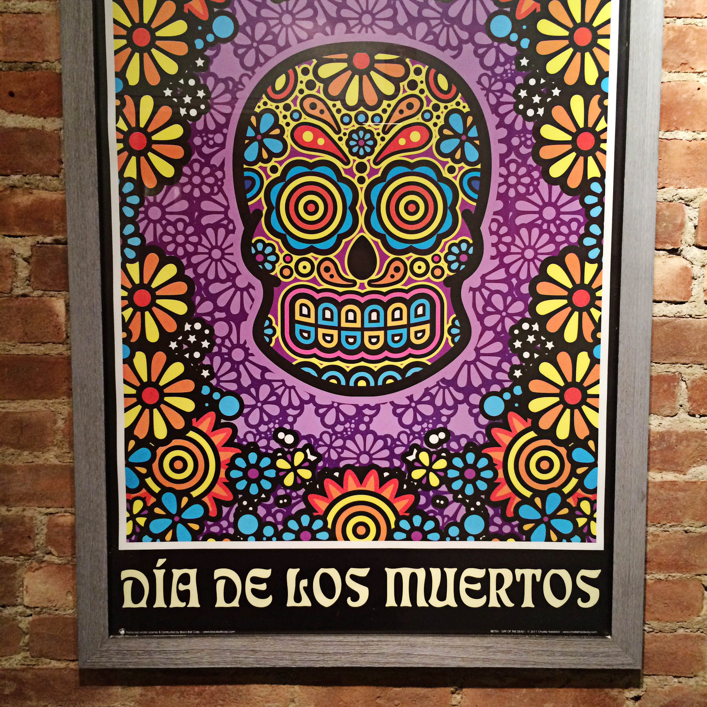 The Taco Project Tarrytown