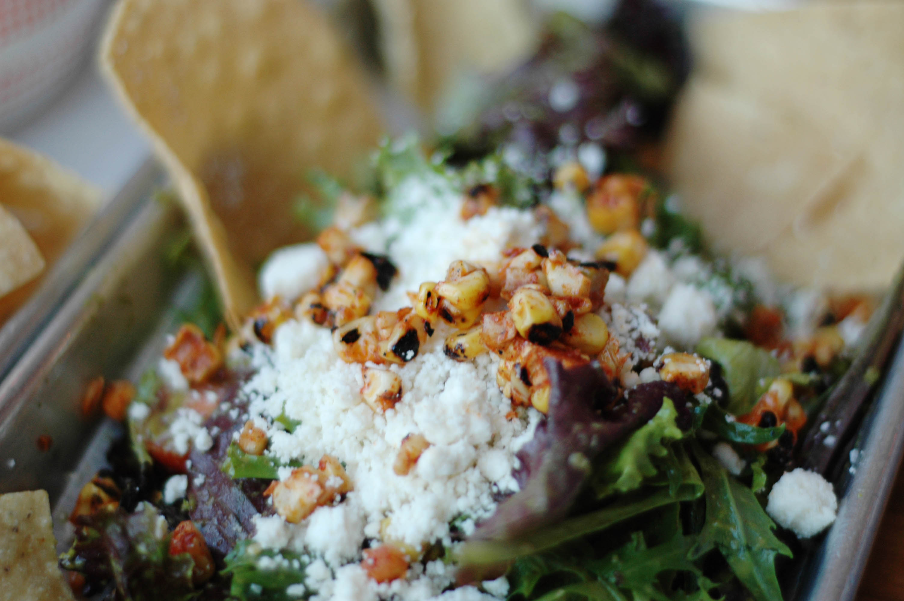 The Taco Project Tarrytown