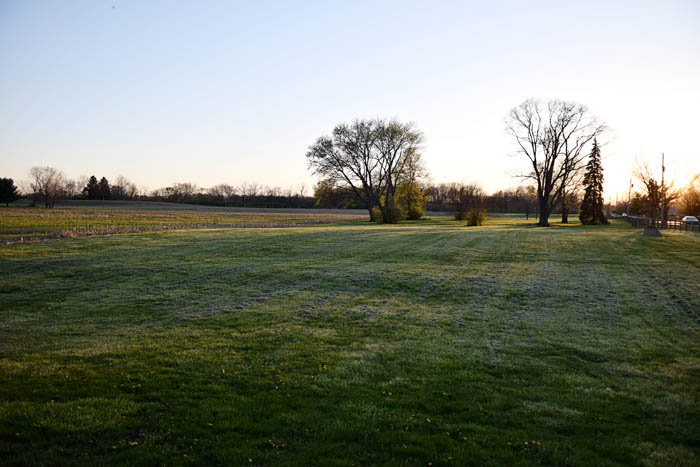 Prepping for Summer with a Linen Dress