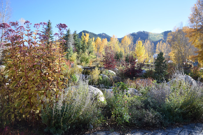 How to plan your trip to Aspen, Colorado this Fall