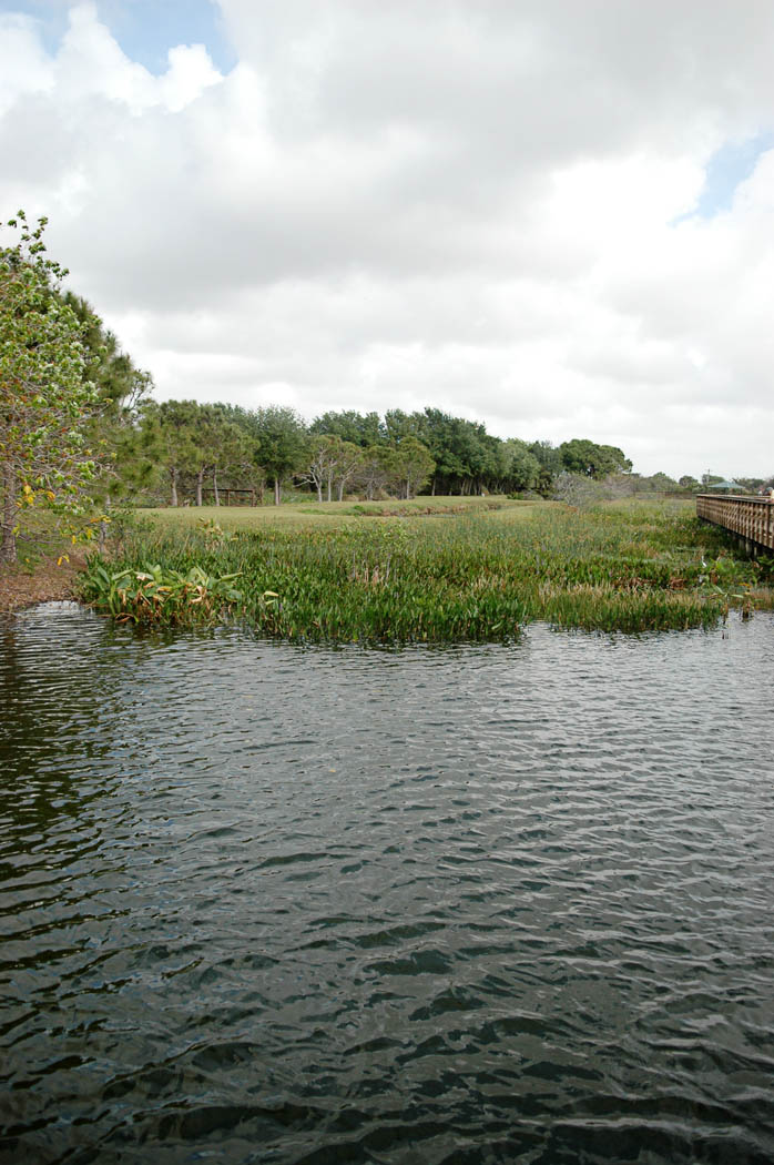 Wakodahatchee Wetlands in Delray Beach, Florida offer a tourist activity or great family activity other than the beach.