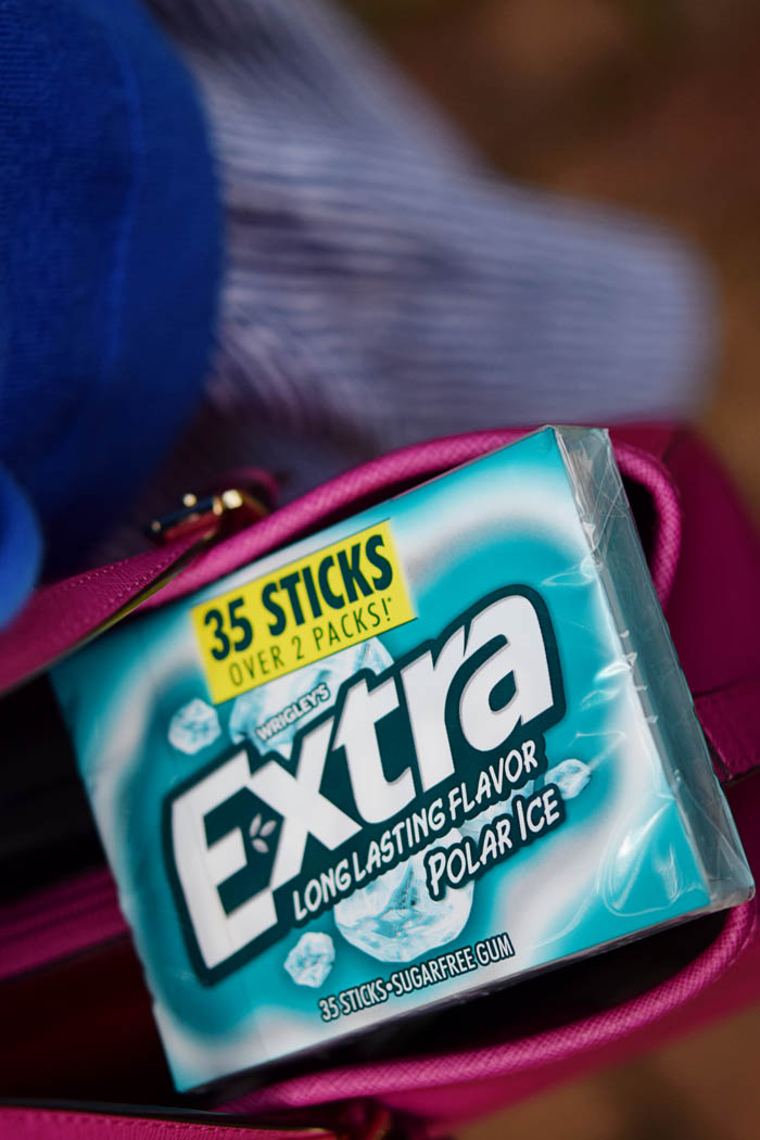 Sharing what's in my bag with Wrigley's Extra Gum. To see the full post head to AnExplorersHeart.com